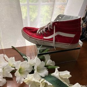 Red vans skatershoes